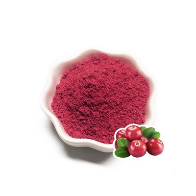 Pudră de fructe de afine